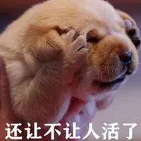 欧舒丹护手霜单支竟低至 343 元AG真人澳门百家家乐好闻又好用！(图8)